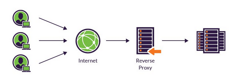 reverse-proxy